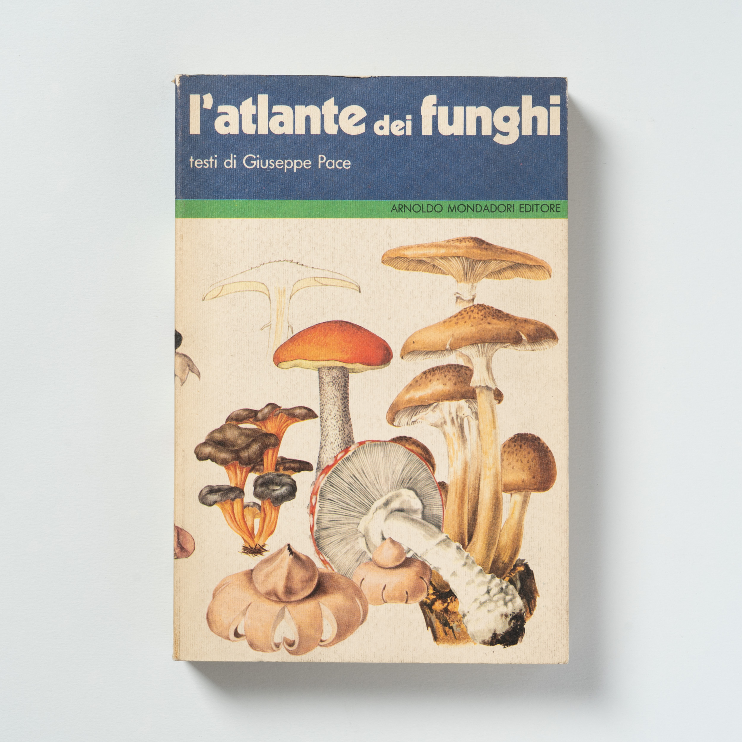 scaldasole-books-l-atlante-dei-funghi
