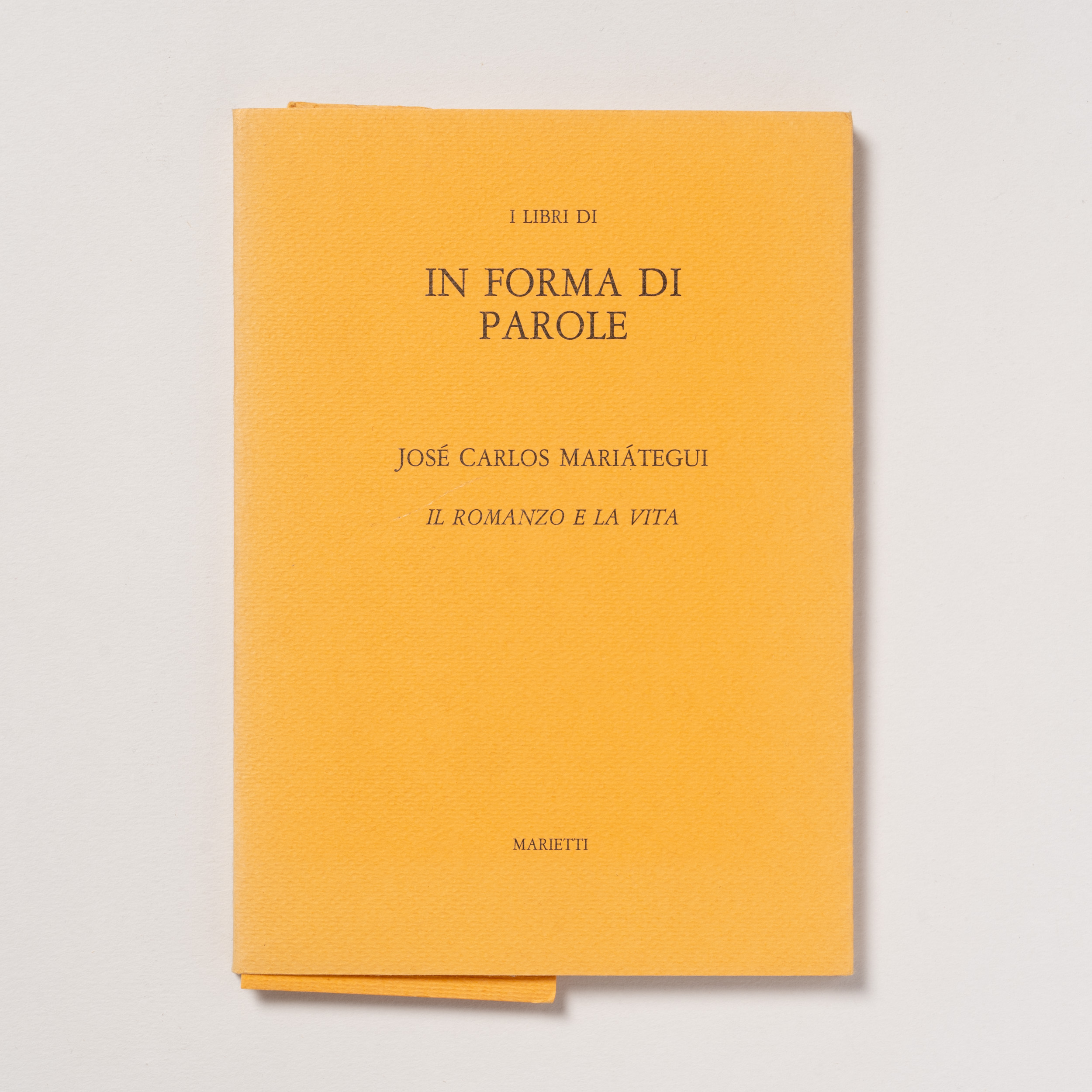 scaldasole-books-il-romanzo-e-la-vita