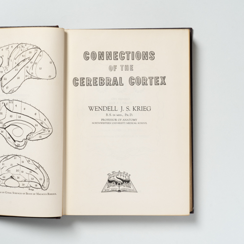 scaldasolebooks Connections of the cerebral cortex - Krieg Wendell J.S.