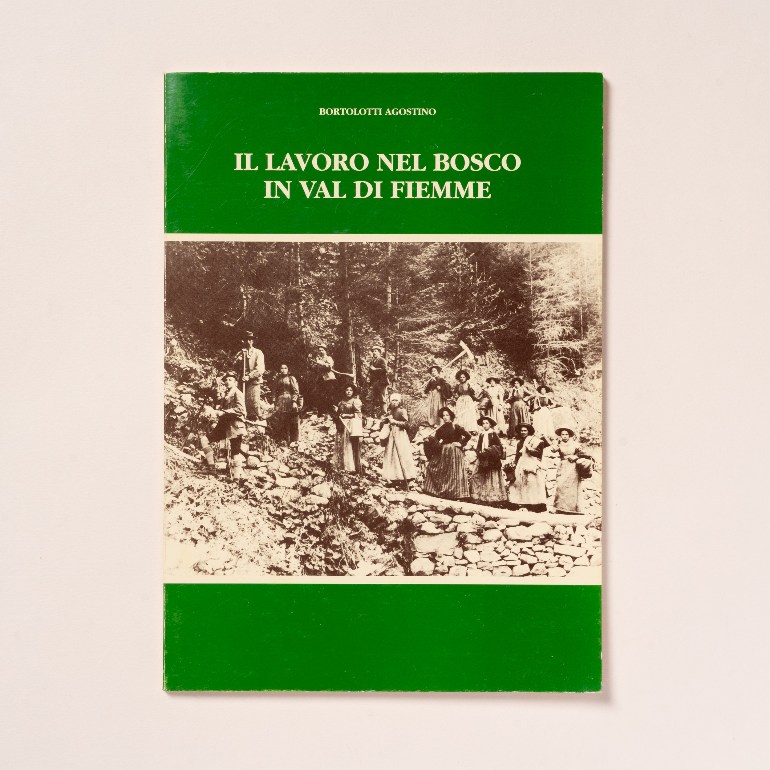 scaldasole-books-il-lavoro-nel-bosco-in-val-di-fiemme