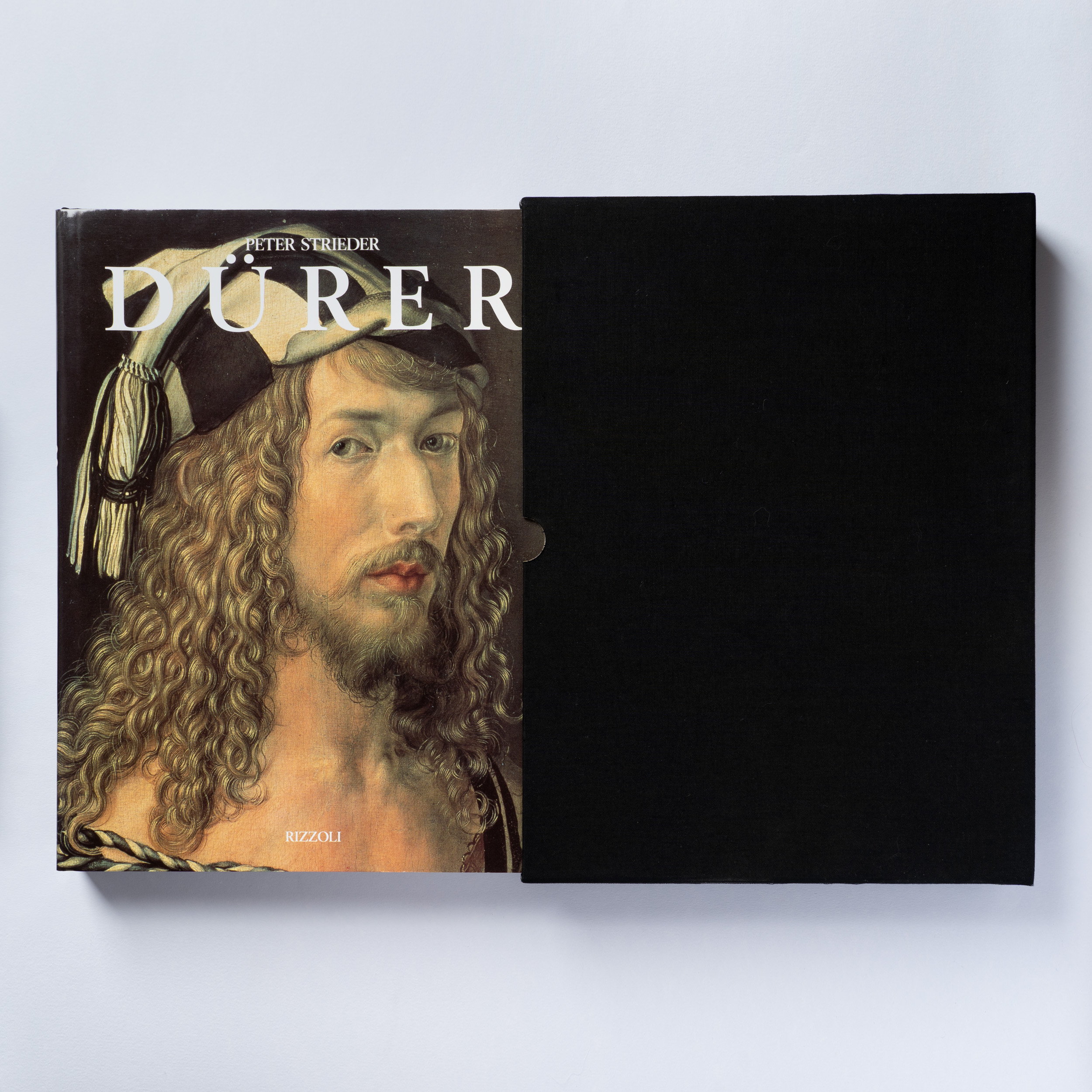 scaldasole-books-durer