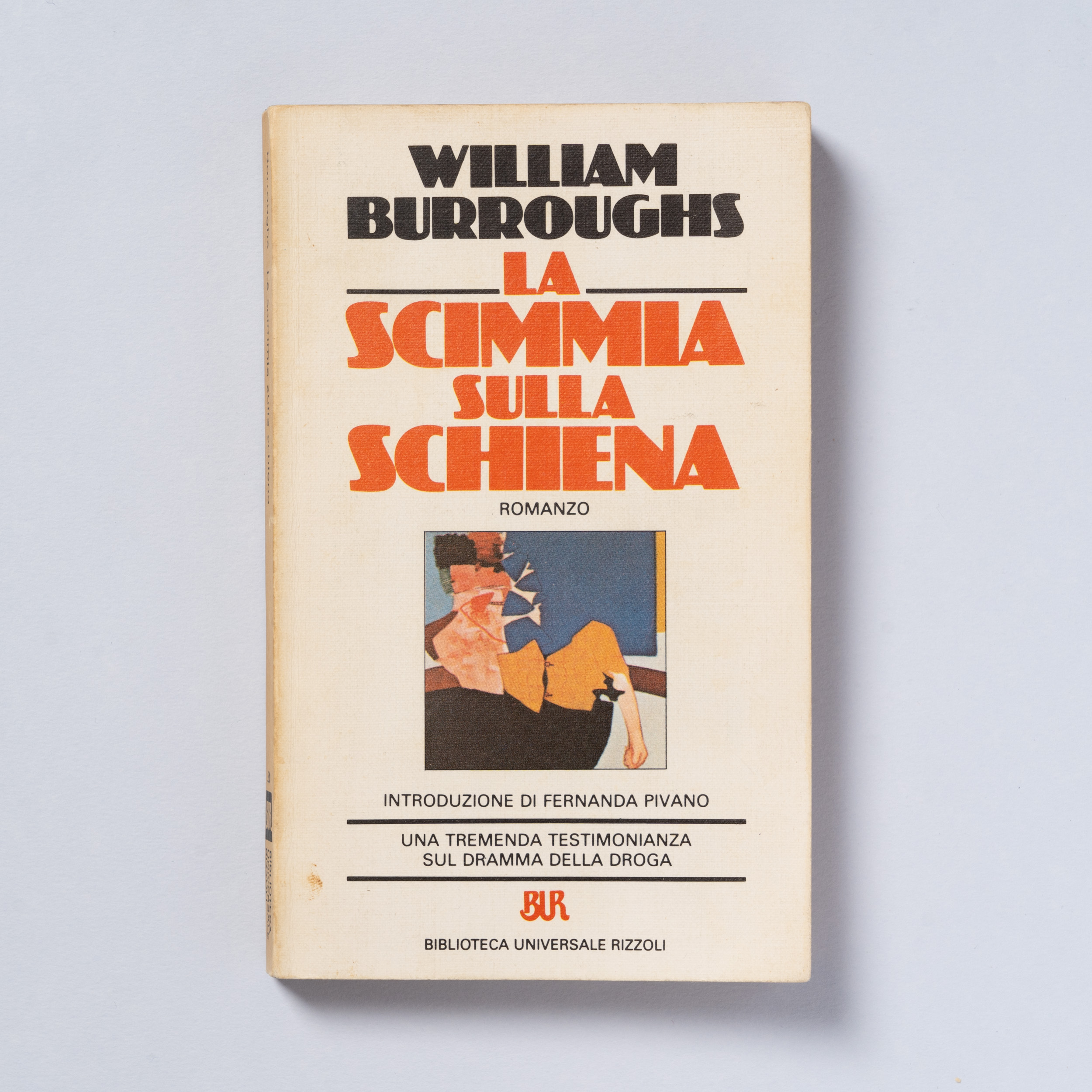 scaldasole-books-la-scimmia-sulla-schiena