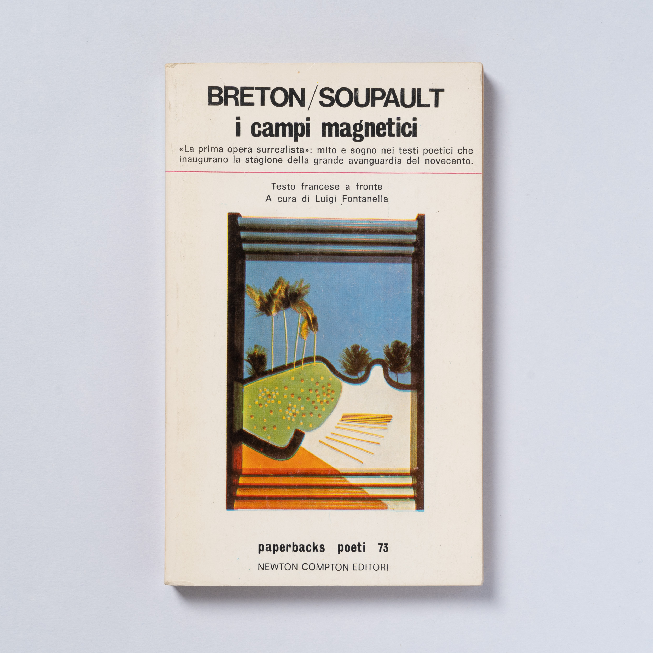 scaldasole-books-i-campi-magnetici