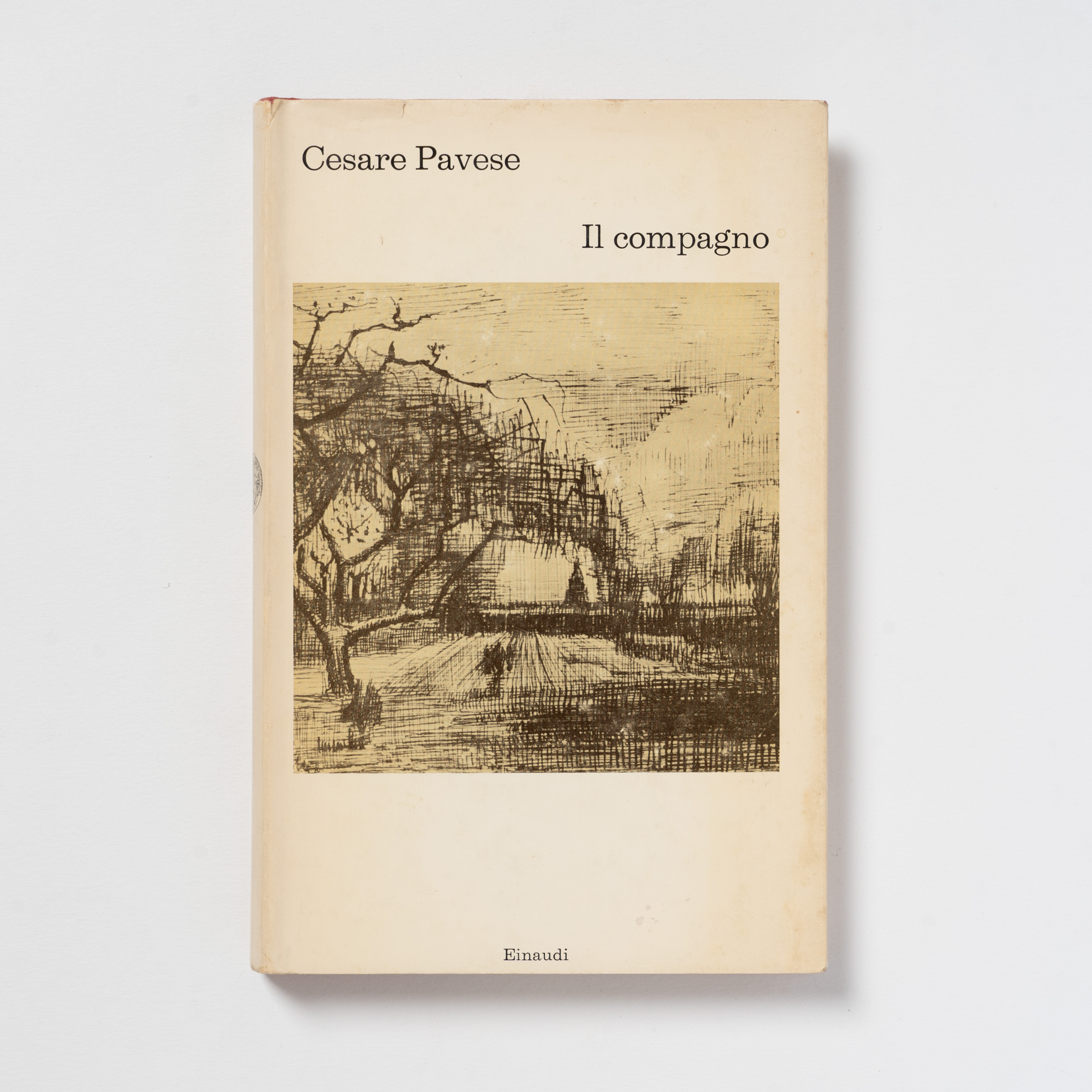 scaldasole-books-il-compagno