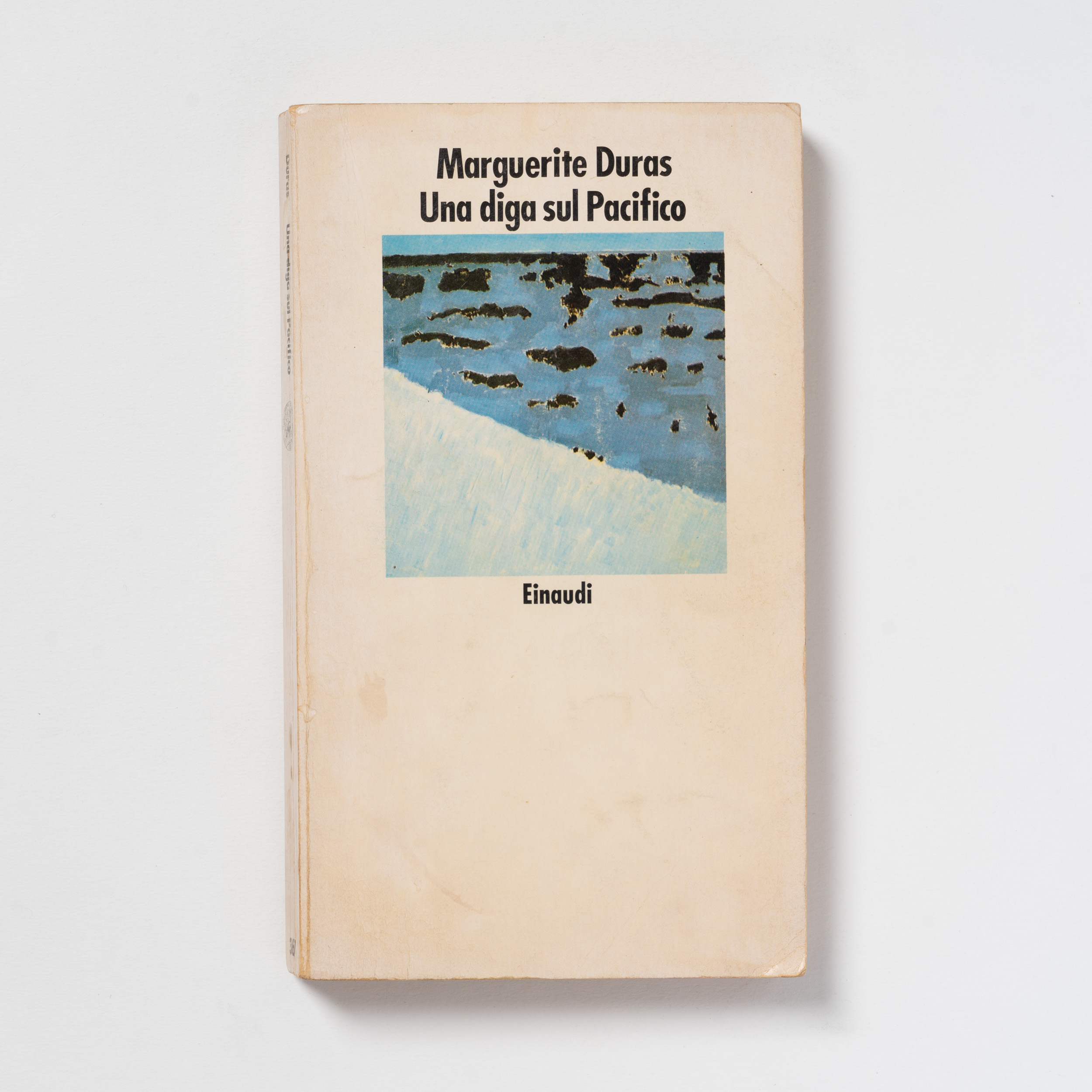 scaldasole-books-una-diga-sul-pacifico