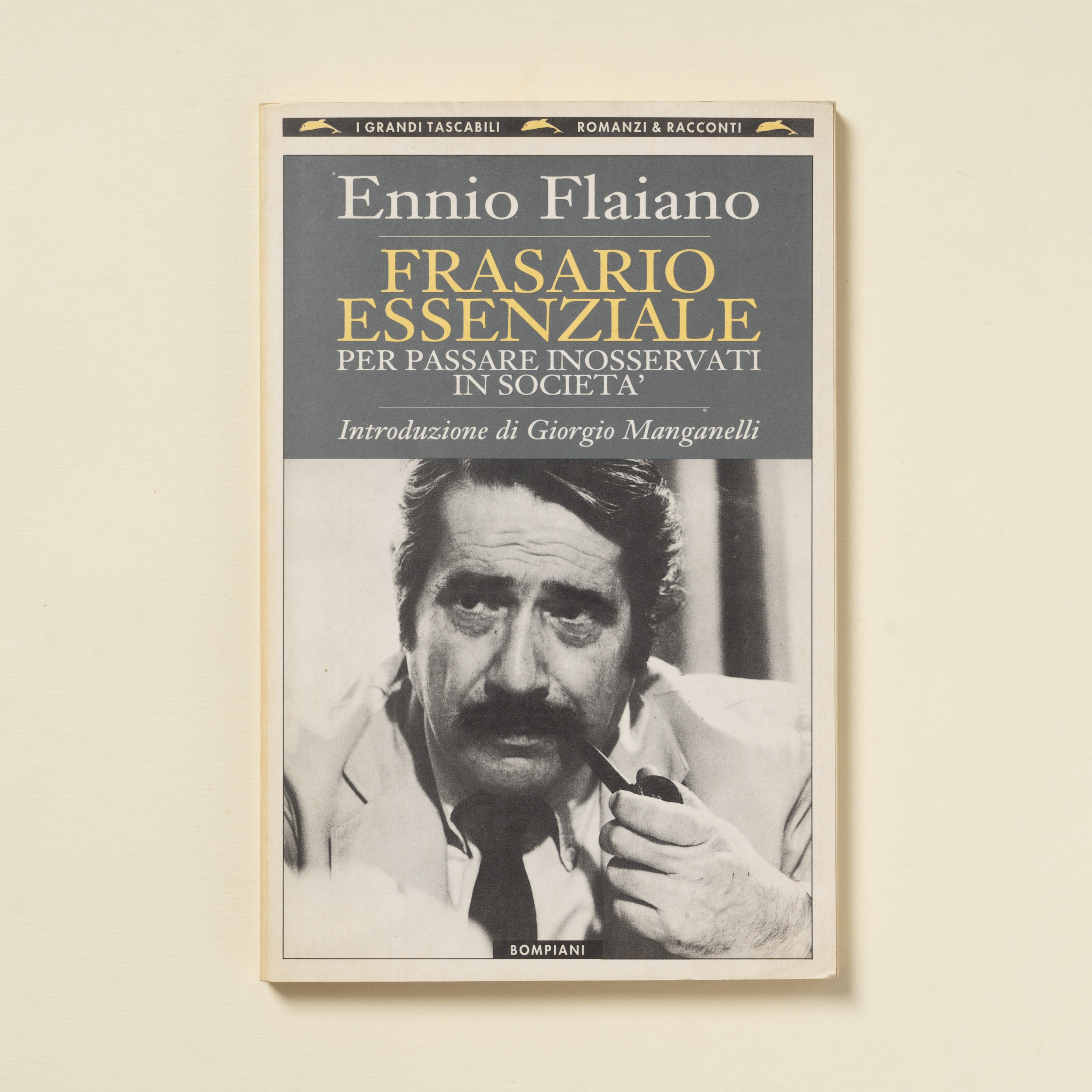 scaldasole-books-frasario-essenziale-per-passare-inosservati-in-societa
