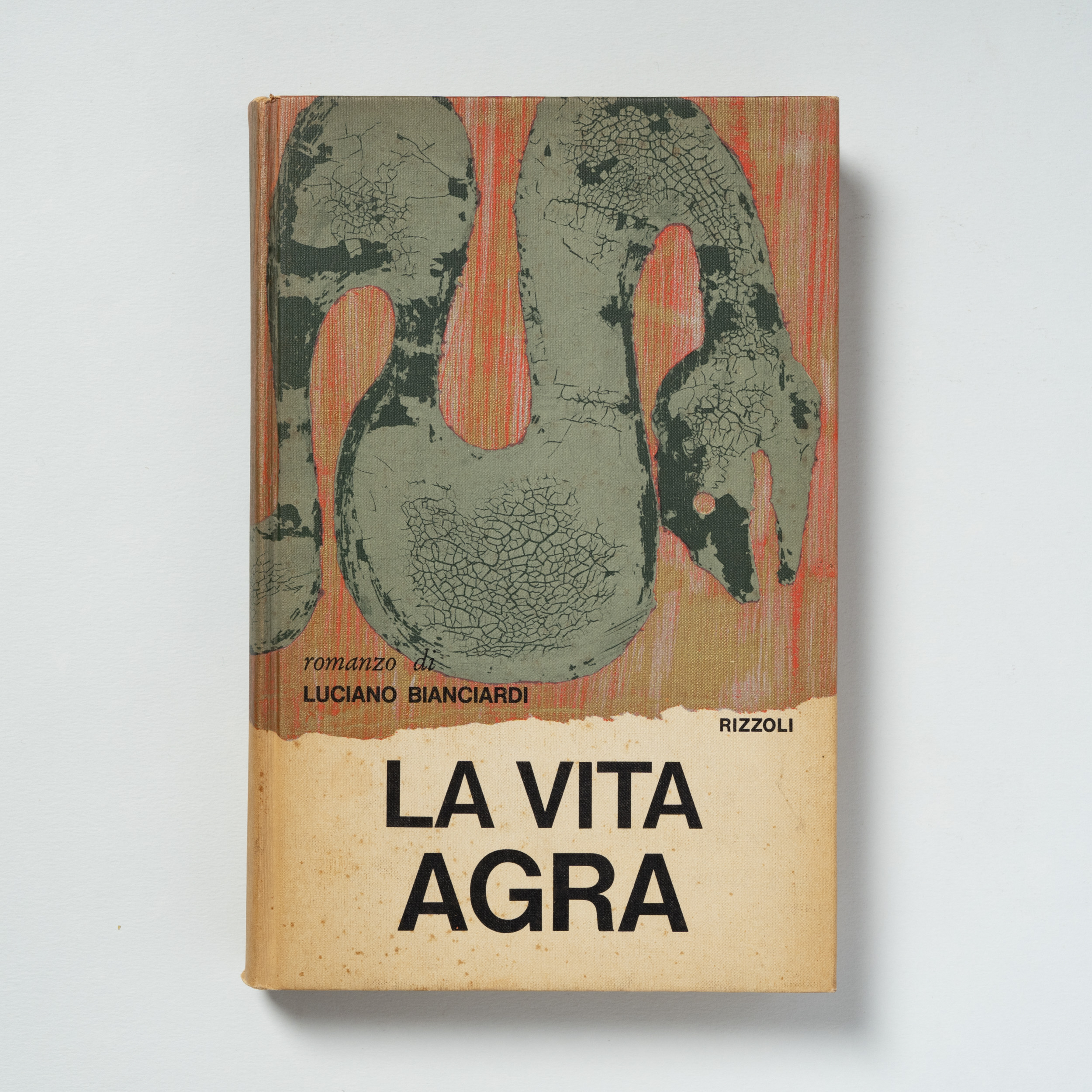 scaldasole-books-la-vita-agra