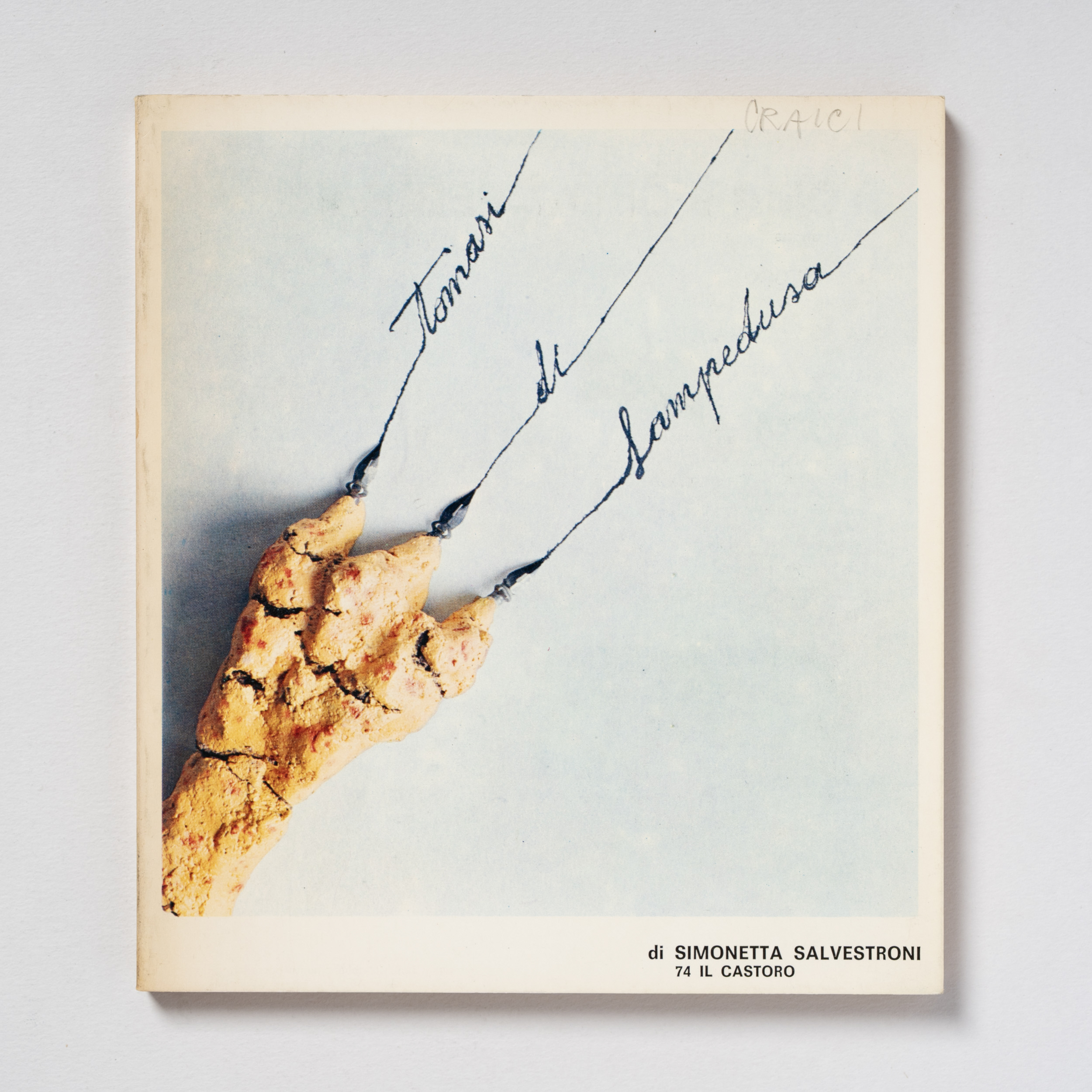 scaldasole-books-tomasi-di-lampedusa-di-simonetta-salvestroni-il-castoro-n-74