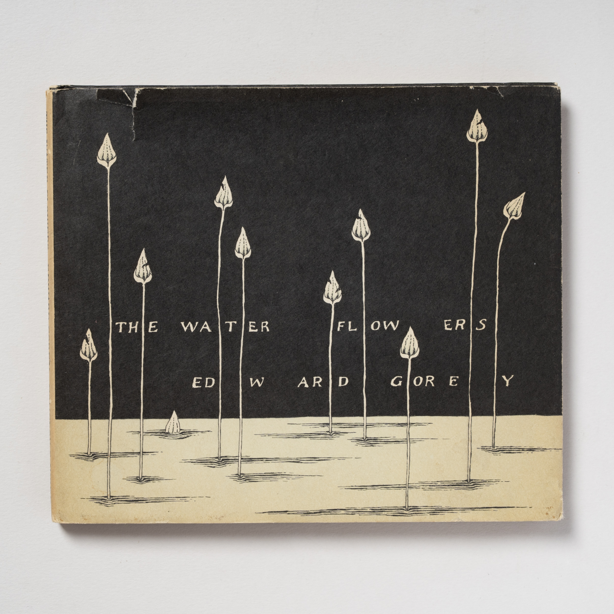 scaldasole-books-the-water-flowers