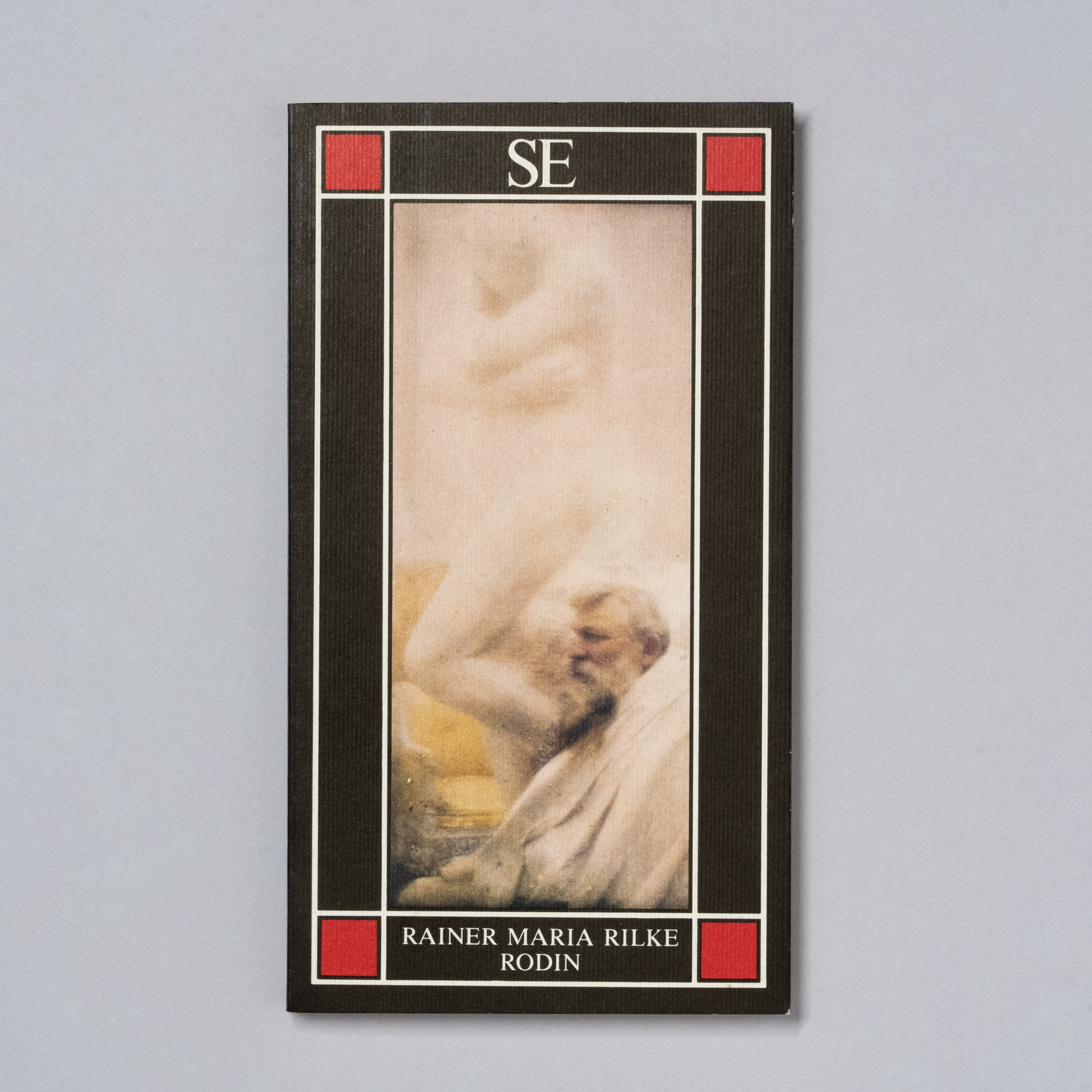 scaldasole-books-rodin