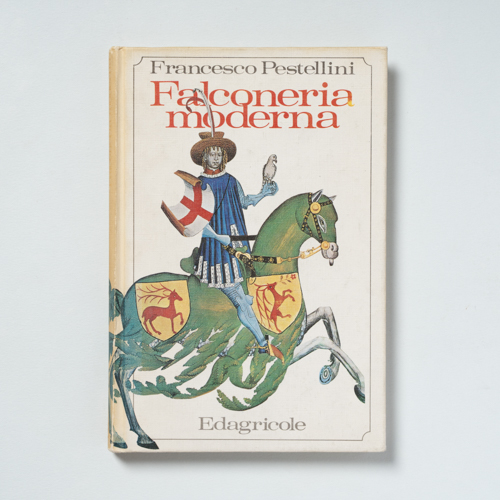 scaldasolebooks Falconeria moderna - Pestellini Francesco