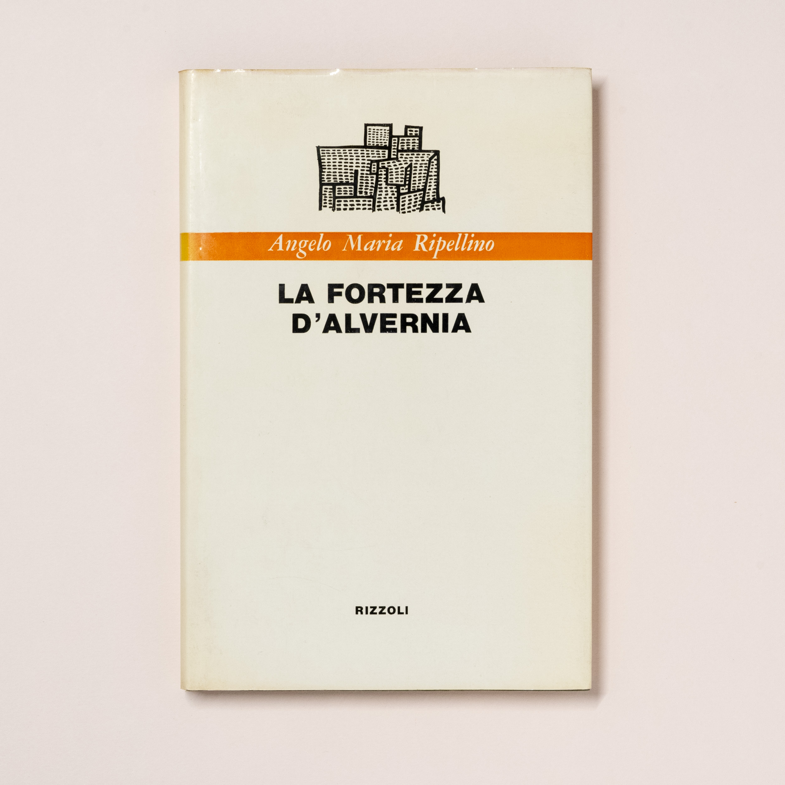 scaldasole-books-la-fortezza-d-alvernia