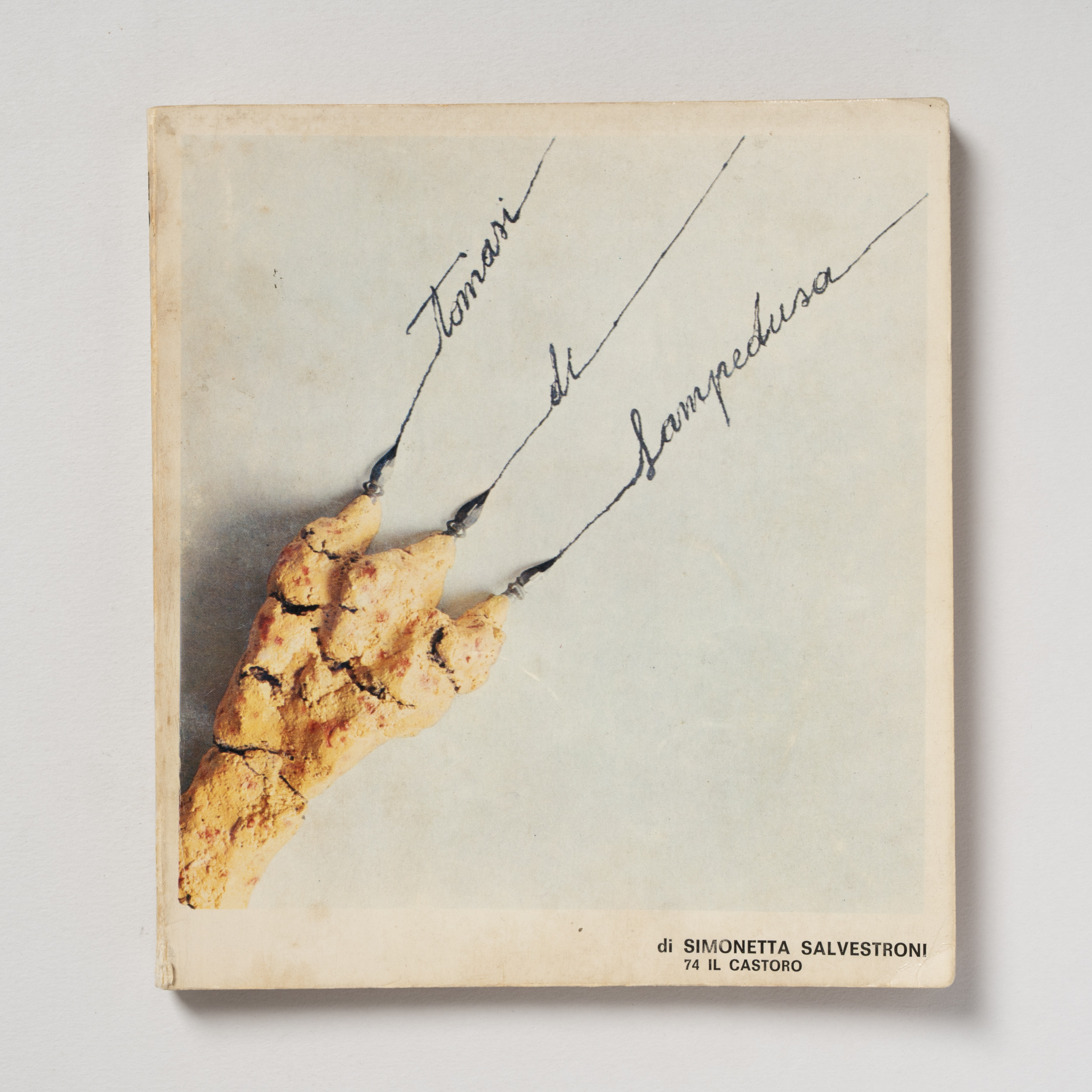 scaldasole-books-tomasi-di-lampedusa-di-simonetta-salvestroni-il-castoro-n-74