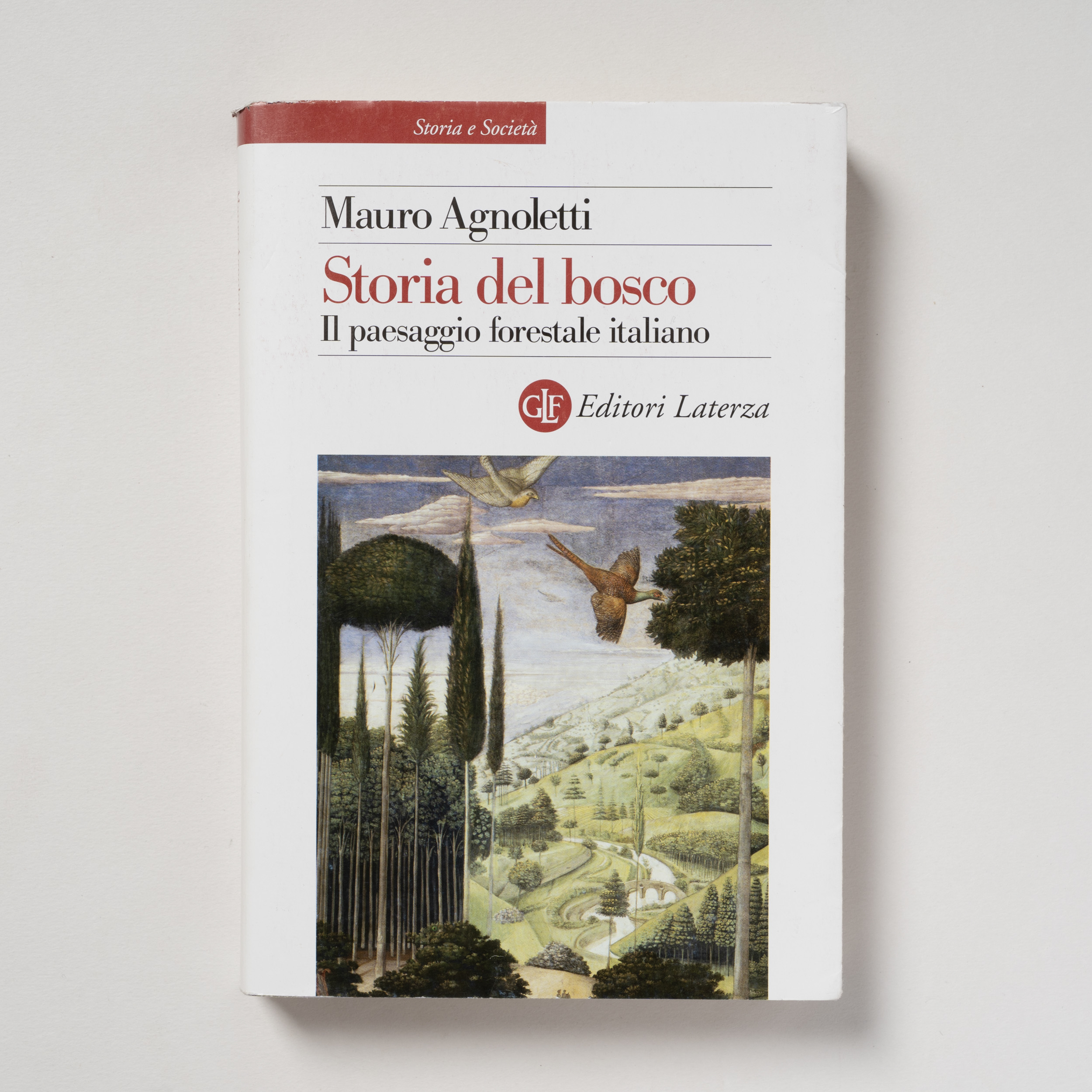 scaldasole-books-storia-del-bosco-il-paesaggio-forestale-italiano