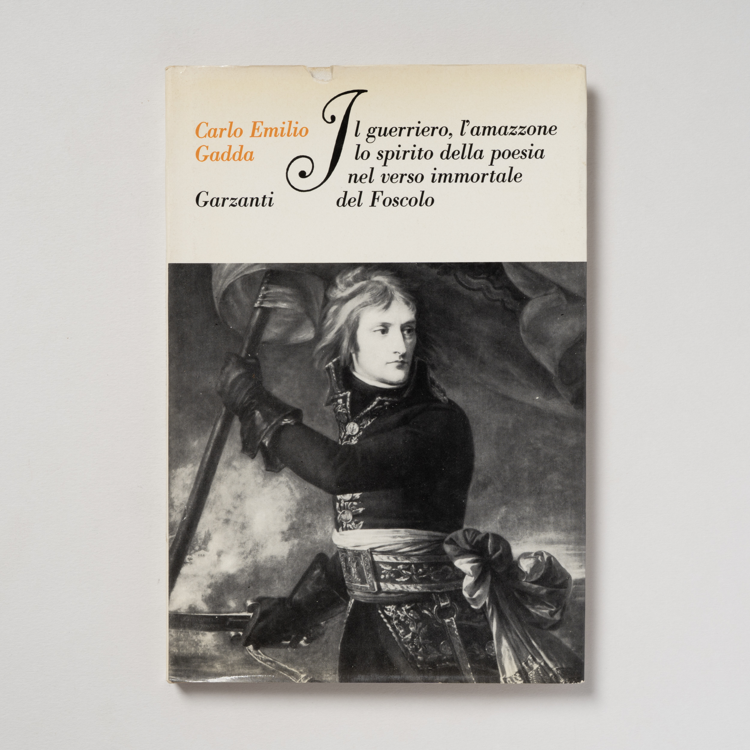 scaldasole-books-il-guerriero-l-amazzone-lo-spirito-della-poesia-nel-verso-immortale-del-foscolo