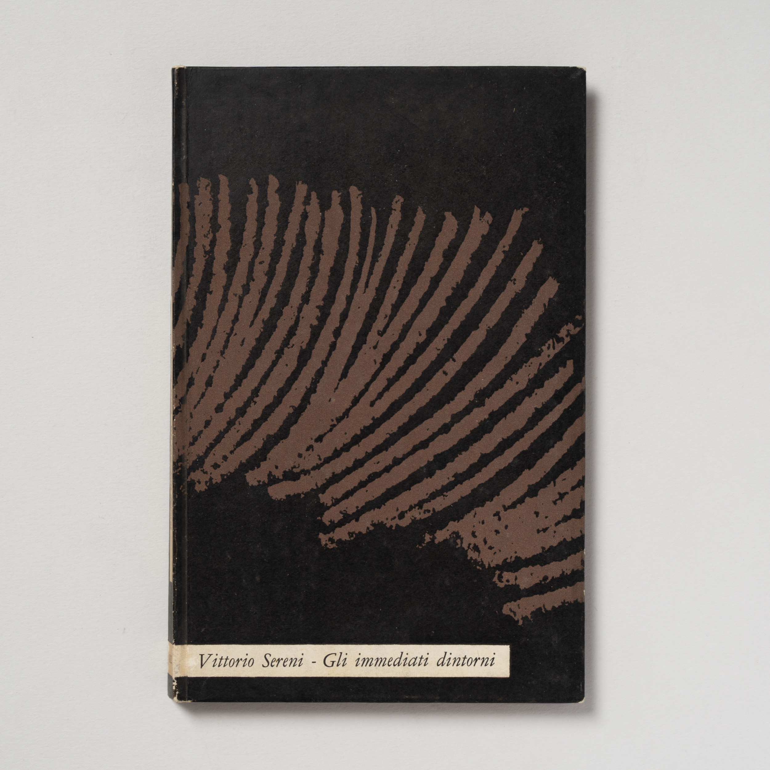 scaldasole-books-gli-immediati-dintorni