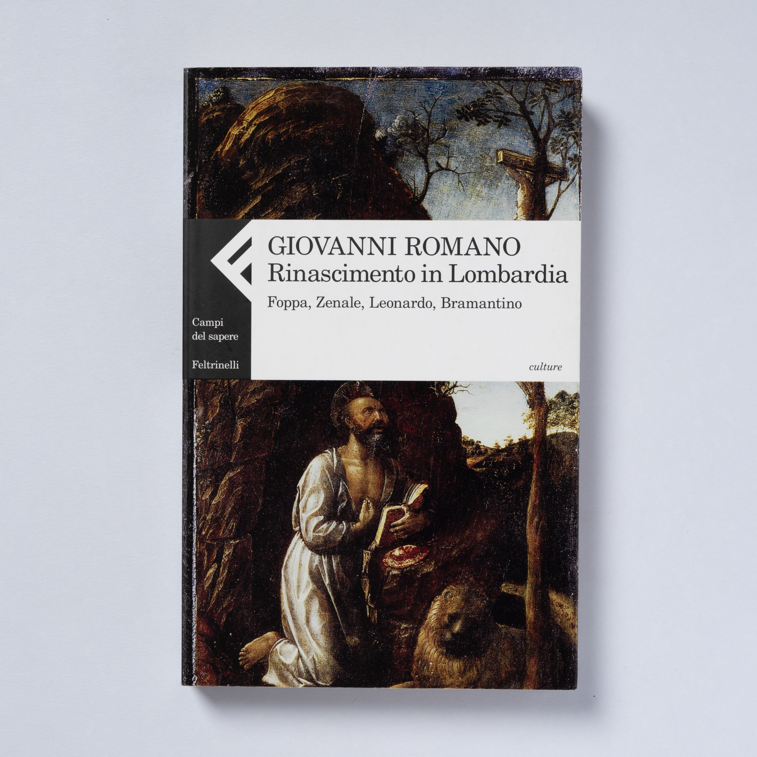 scaldasole-books-rinascimento-in-lombardia-foppa-zenale-leonardo-bramantino