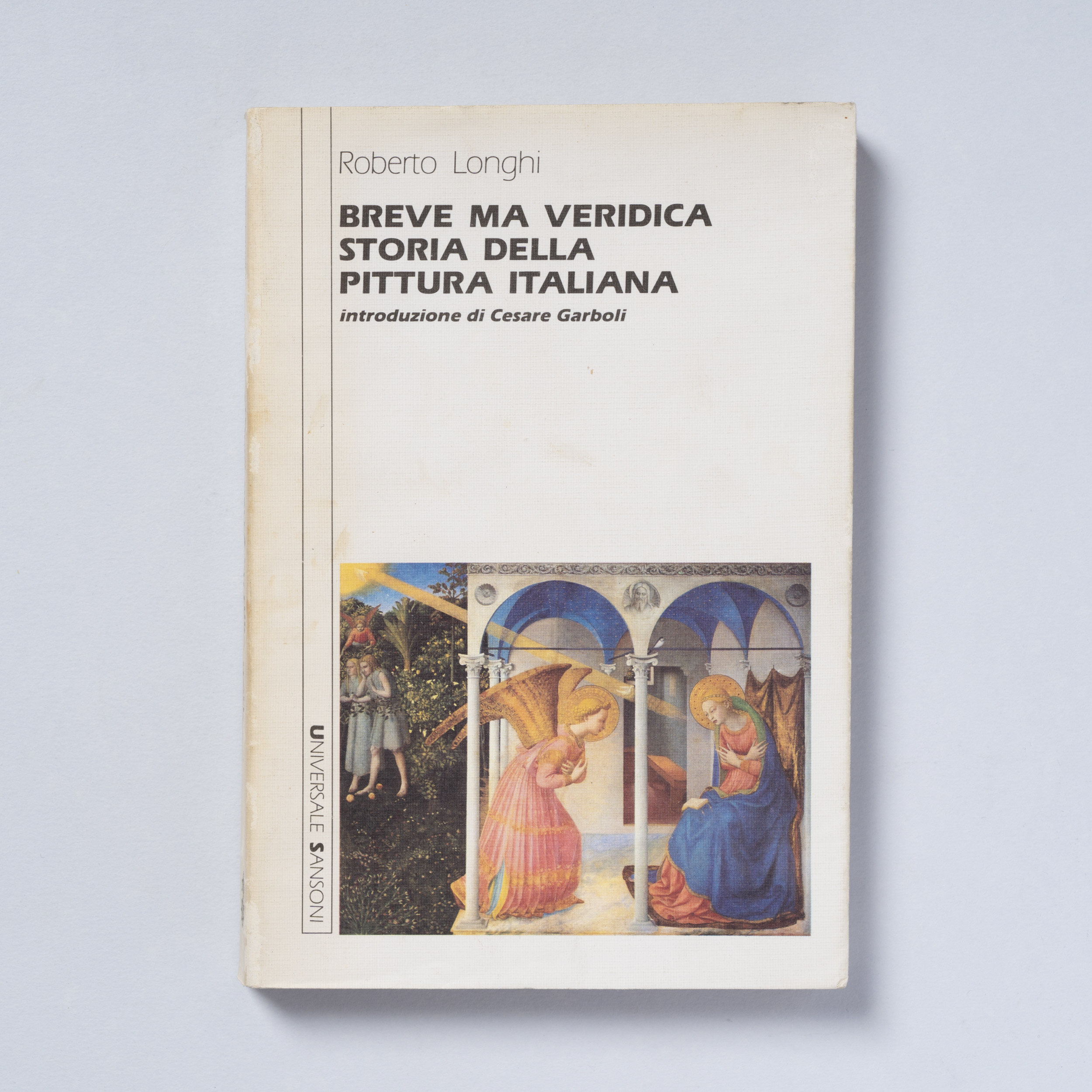 scaldasole-books-breve-ma-veridica-storia-della-pittura-italiana