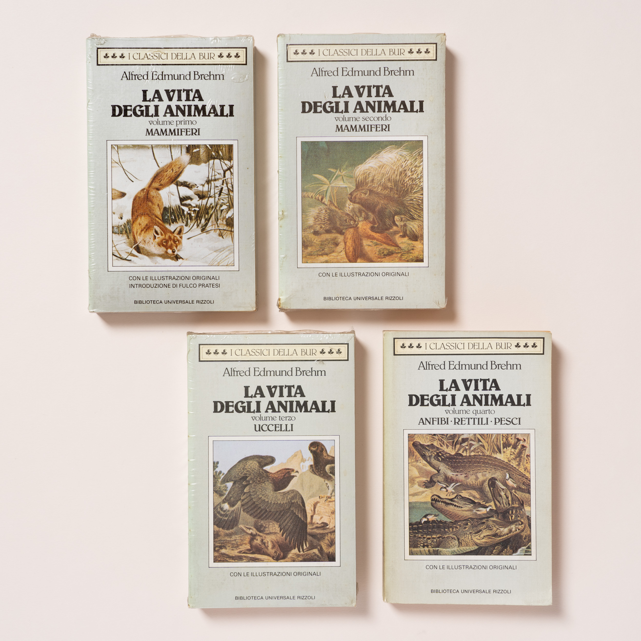 scaldasole-books-la-vita-degli-animali