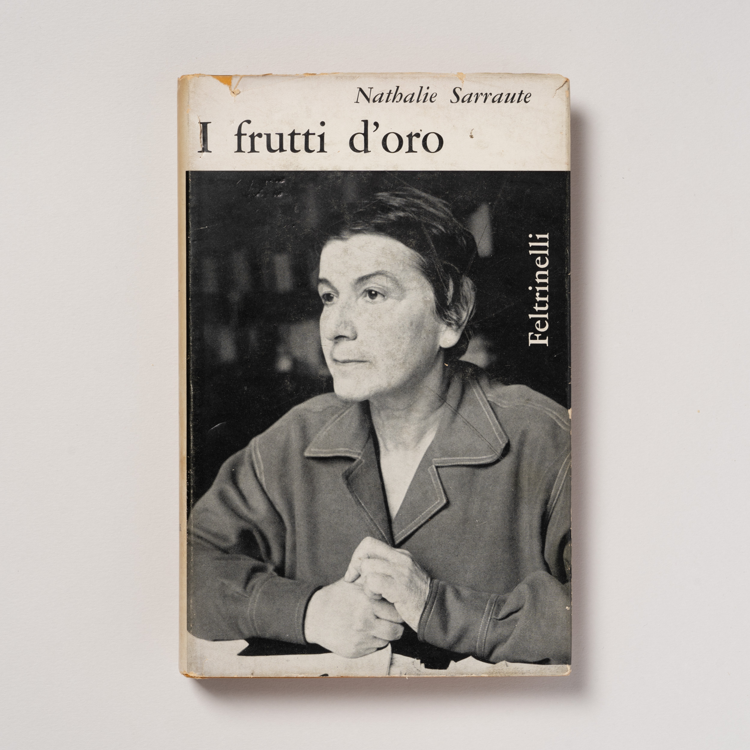 scaldasole-books-i-frutti-d-oro-romanzo