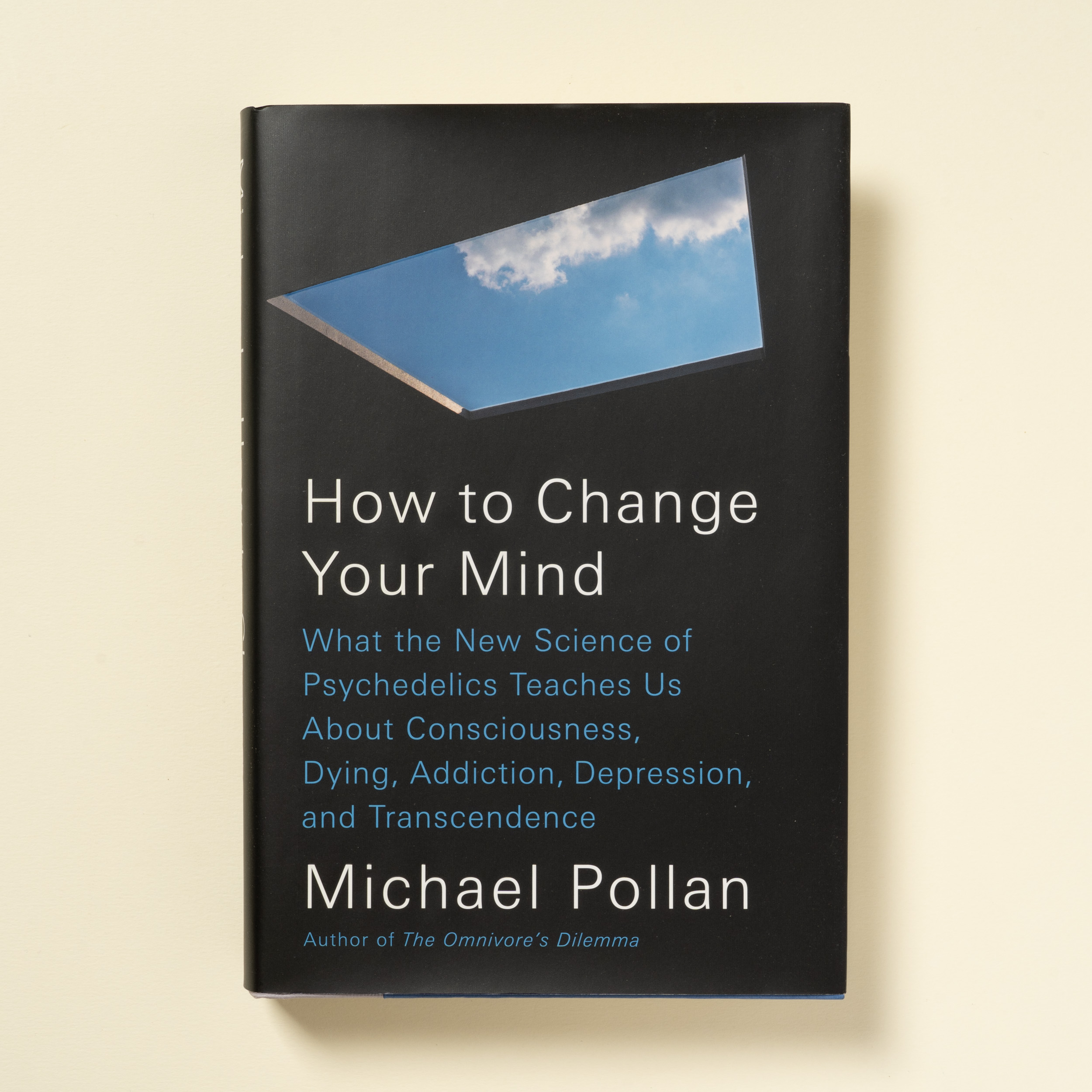 scaldasole-books-how-to-change-your-mind