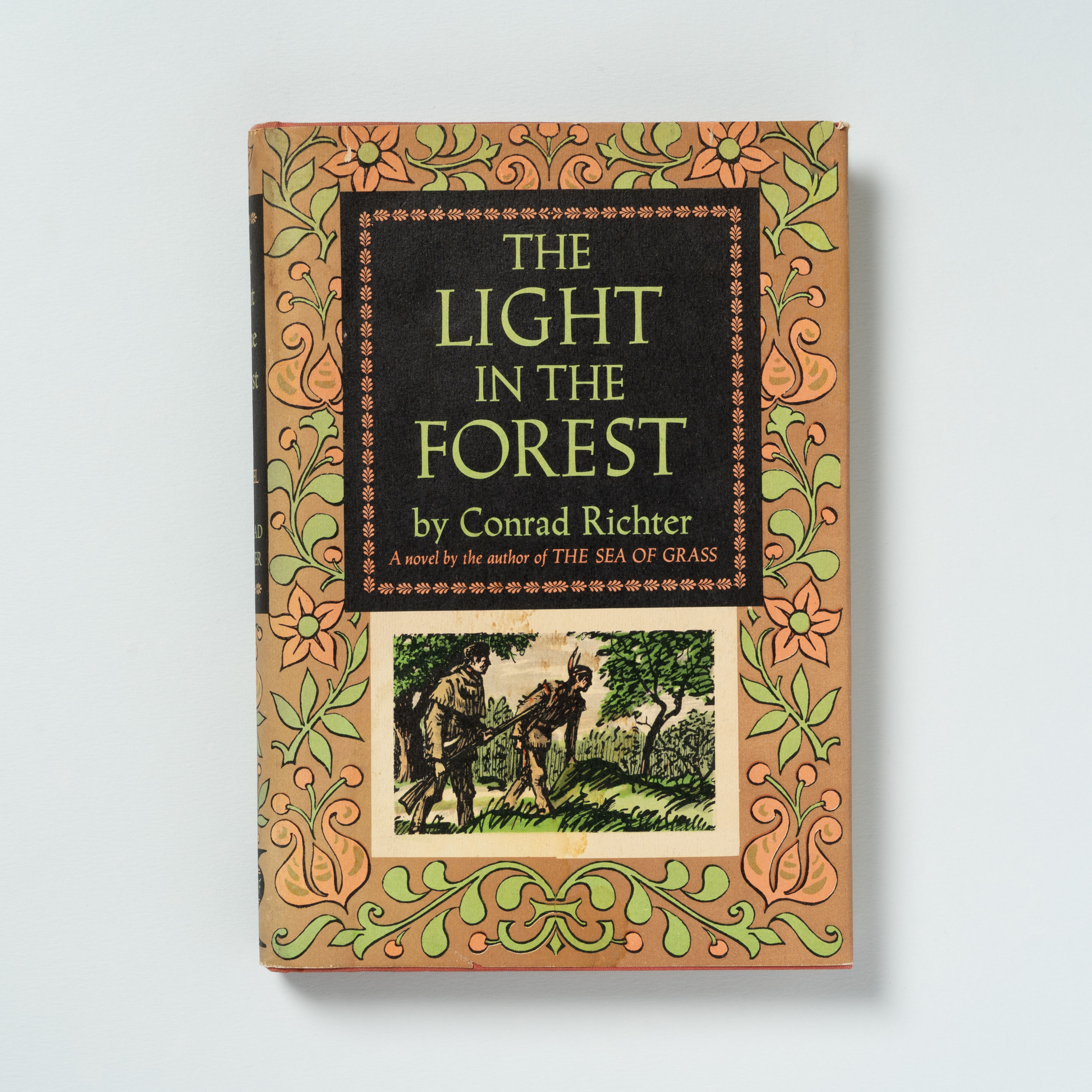 scaldasole-books-the-light-in-the-forest