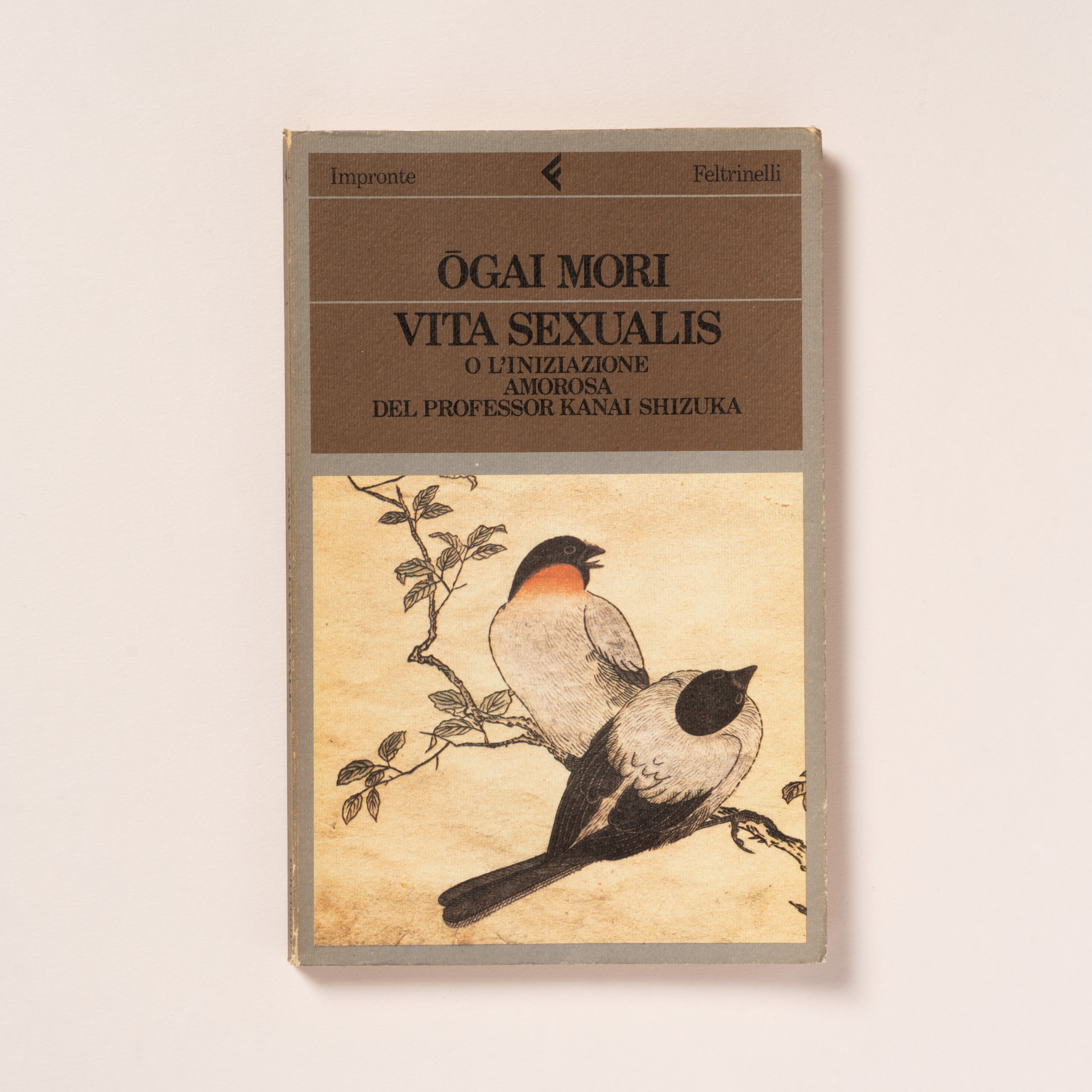 scaldasole-books-vita-sexualis-o-l-iniziazione-amorosa-del-professor-kanai-shizuka