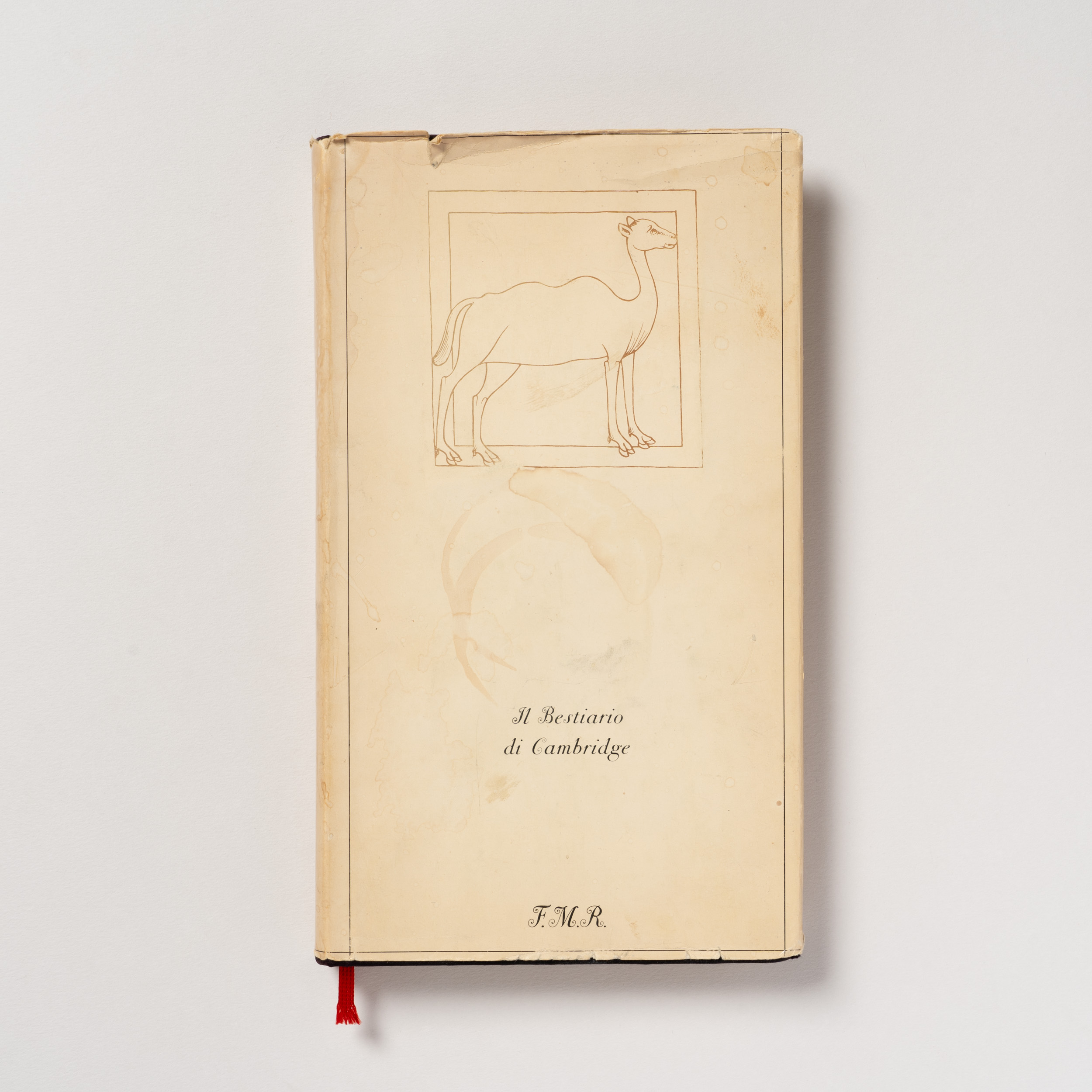 scaldasole-books-il-bestiario-di-cambridge