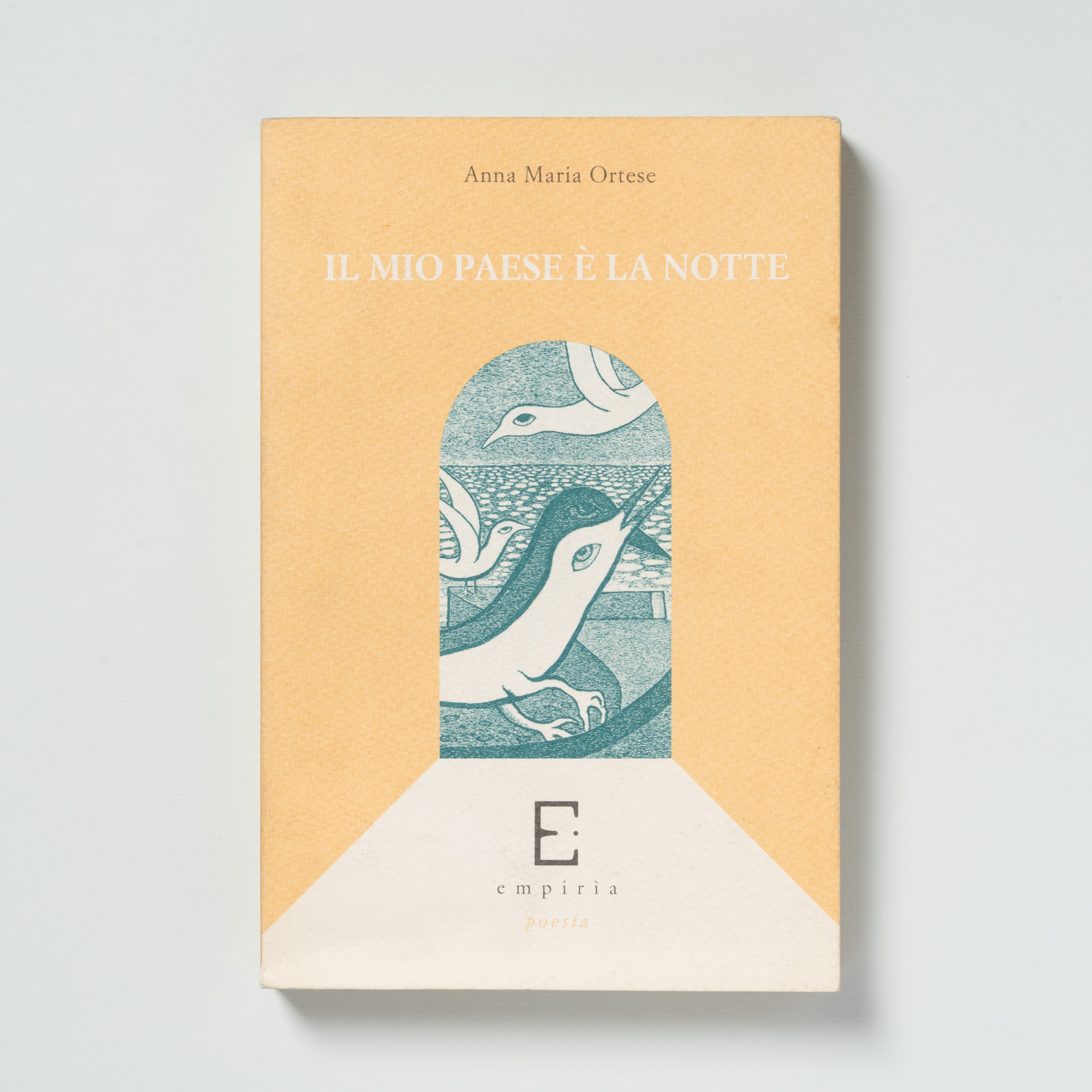 scaldasole-books-il-mio-paese-e-la-notte