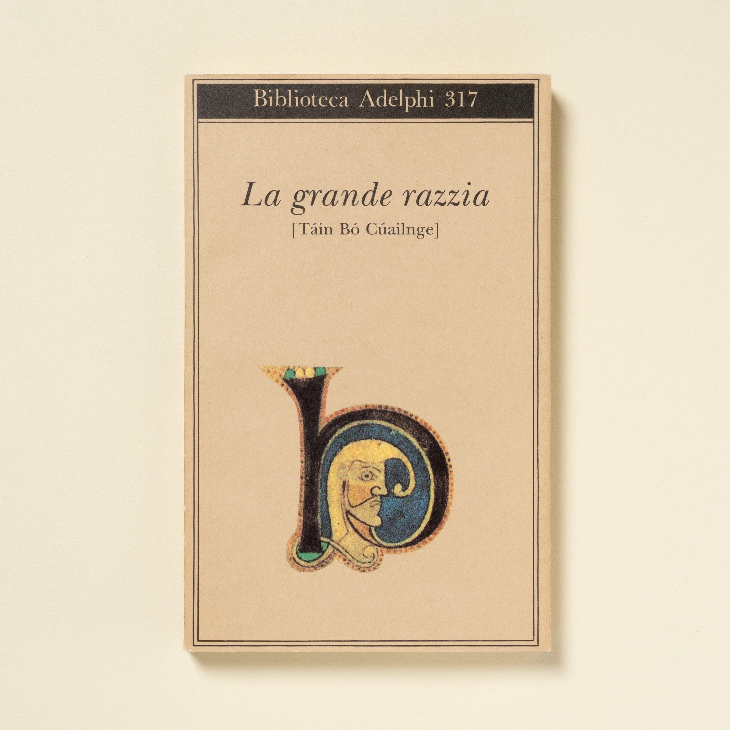 scaldasole-books-la-grande-razzia-tain-bo-cuailnge