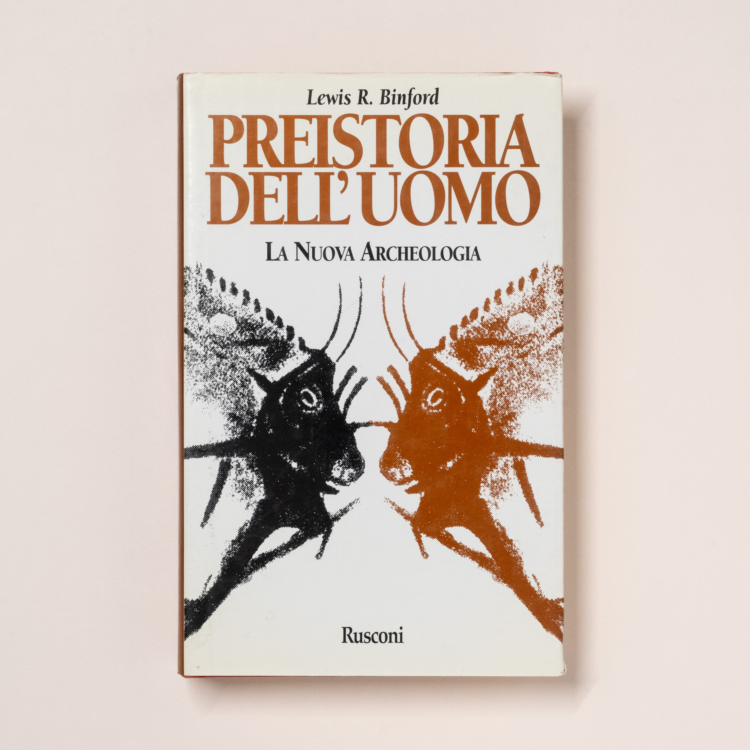 scaldasole-books-preistoria-dell-uomo-la-nuova-archeologia