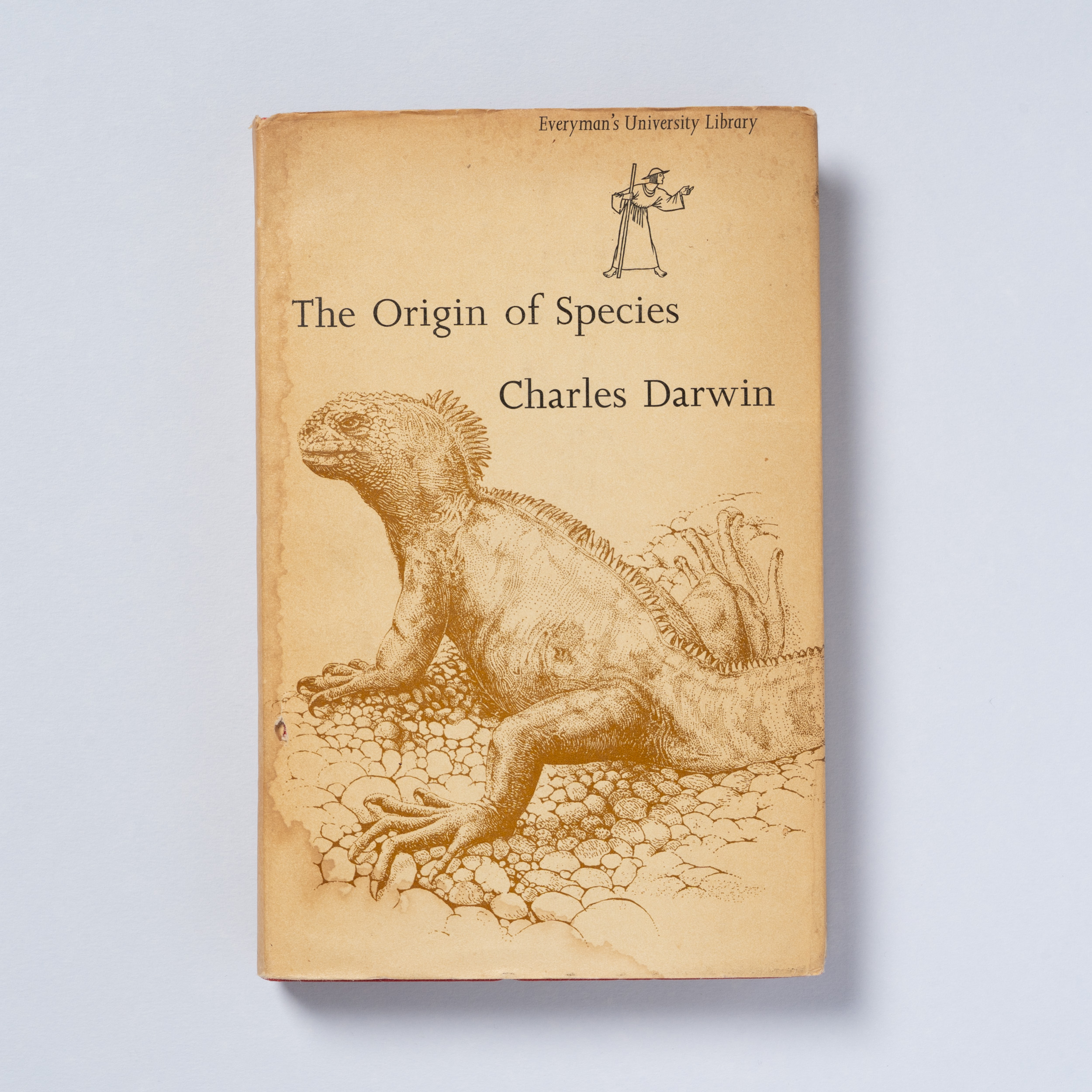 scaldasole-books-the-origin-of-species