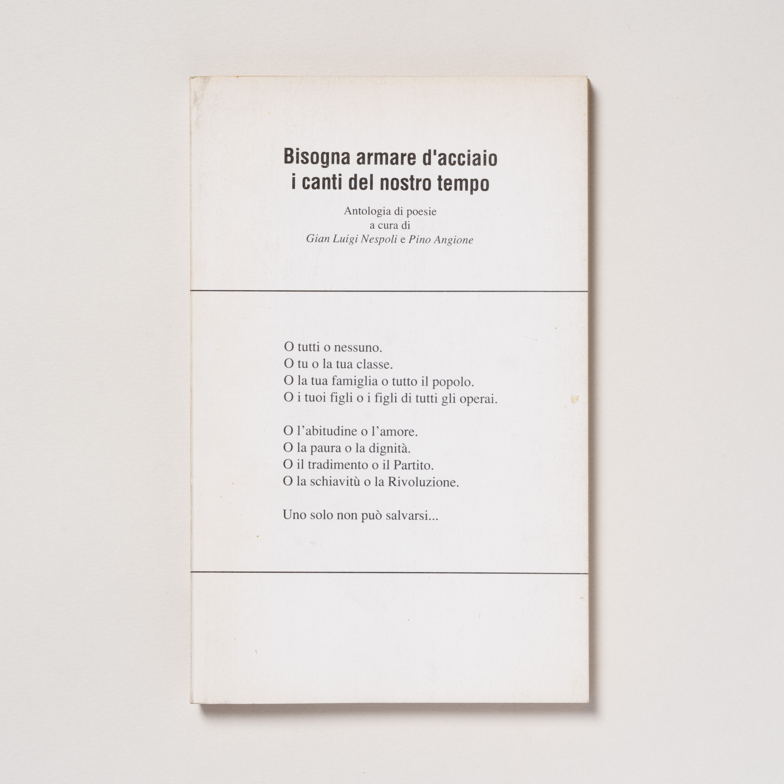 scaldasole-books-bisogna-armare-d-acciaio-i-canti-del-nostro-tempo-antologia-di-poesie