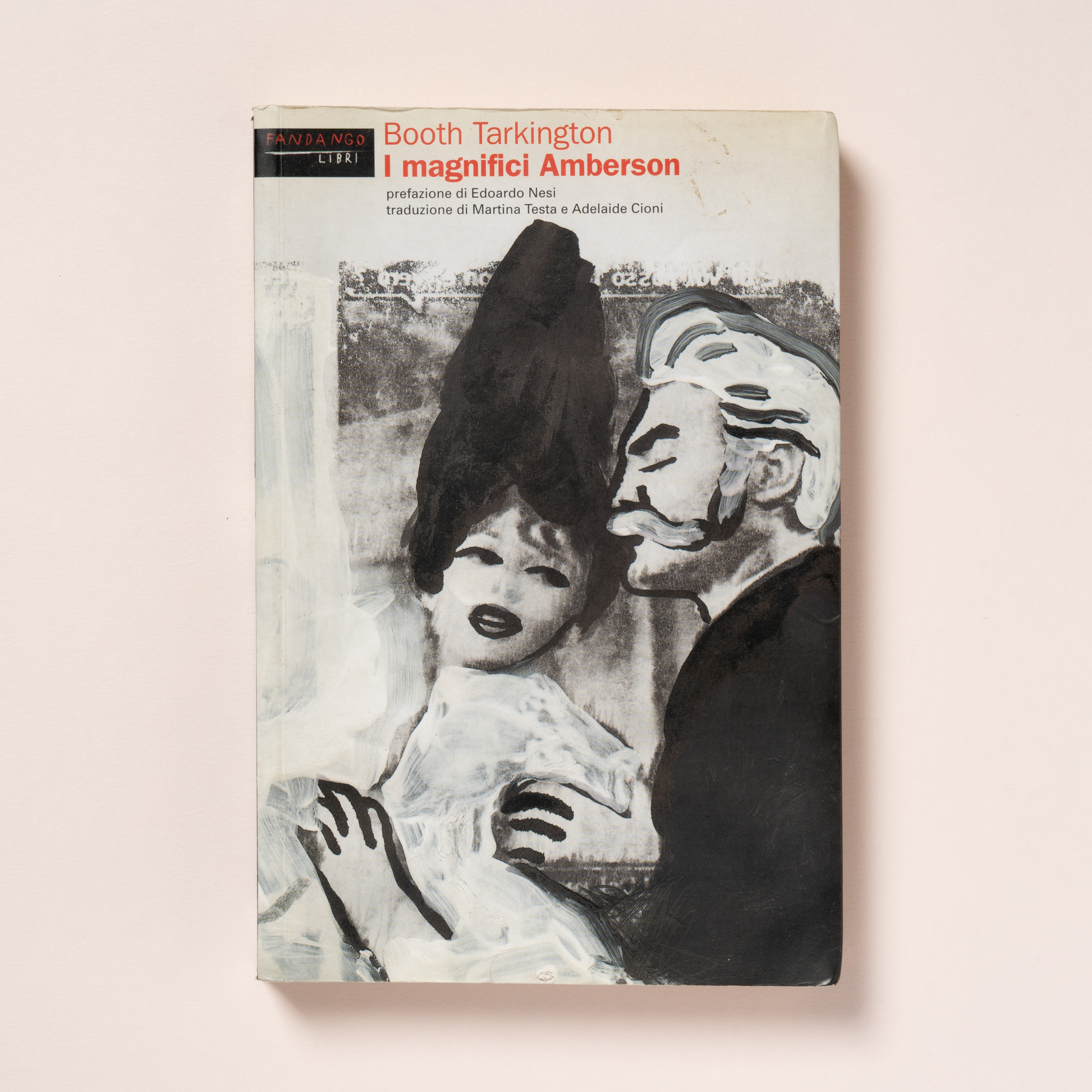 scaldasole-books-i-magnifici-amberson