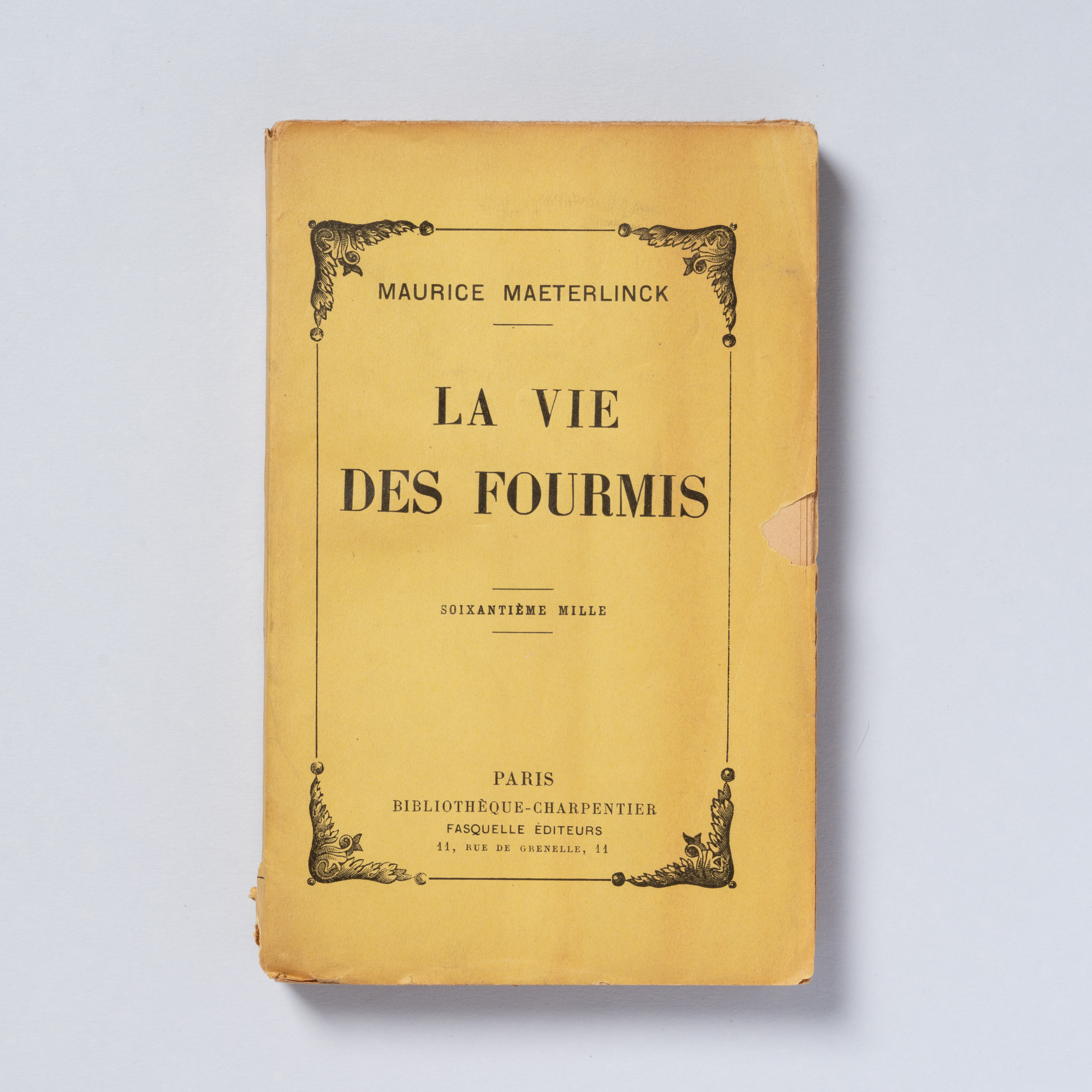 scaldasole-books-la-vie-des-fourmis