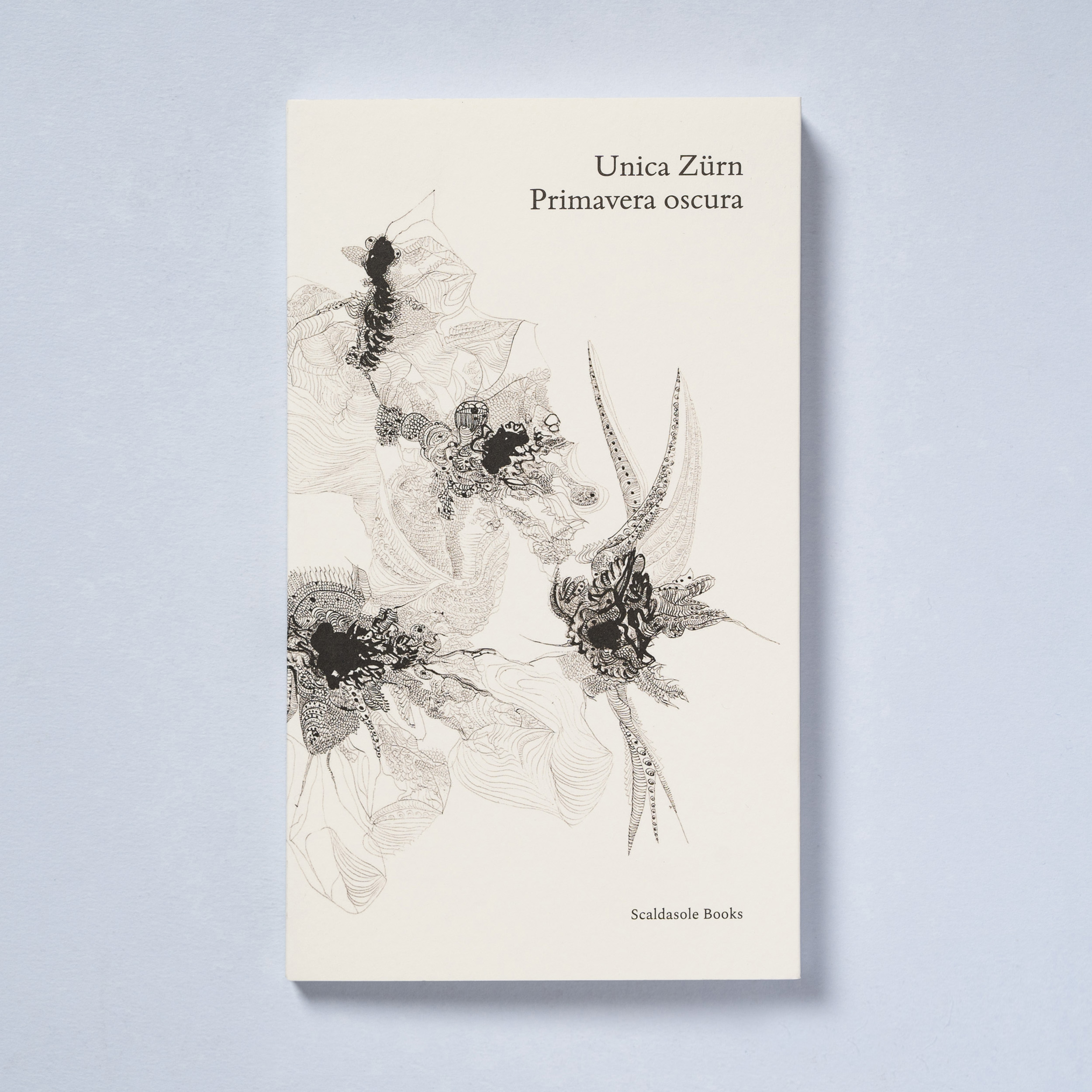 scaldasole-books-primavera-oscura